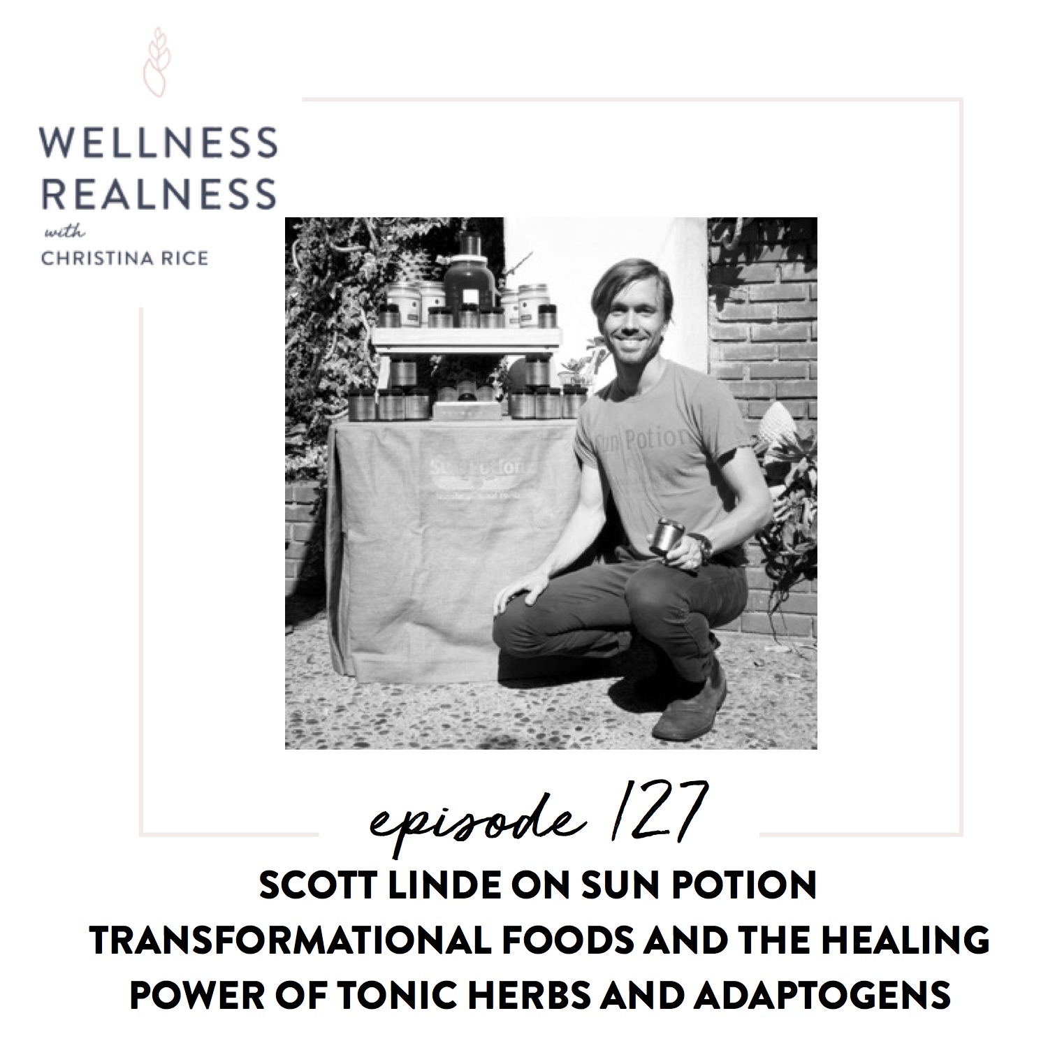 127: Scott Linde on Sun Potion Transformational Foods and the Healing Power of Tonic Herbs and Adaptogens