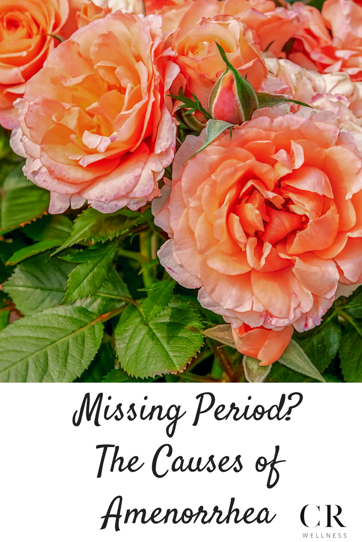 Missing Period? The Causes of Amenorrhea
