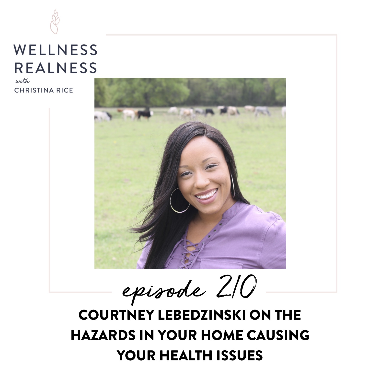 210: Courtney Lebedzinski on the Hazards in Your Home Causing Your Health Issues