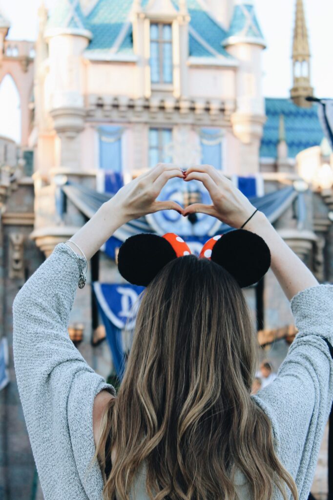 The Disneyland Series: DLAND 101