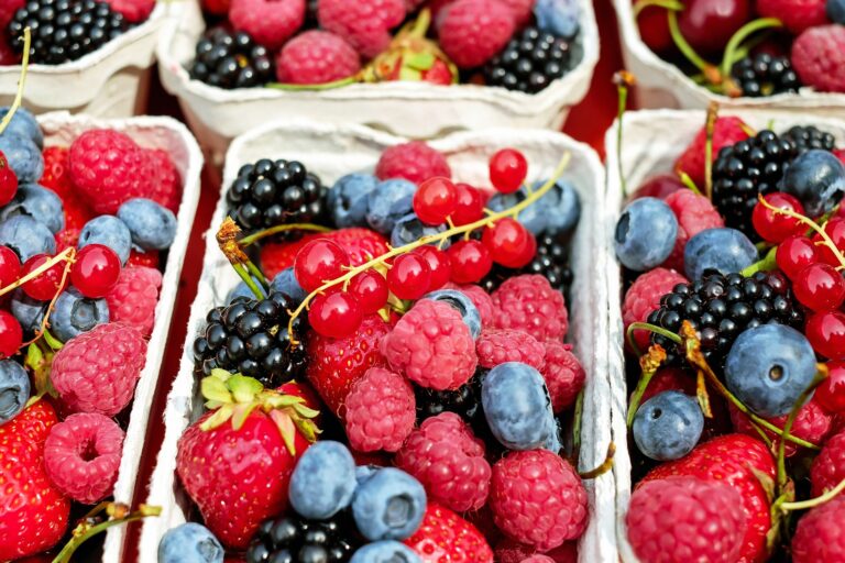 The Anti-Candida Diet and Its Many Nuances (Become a Member for Access)