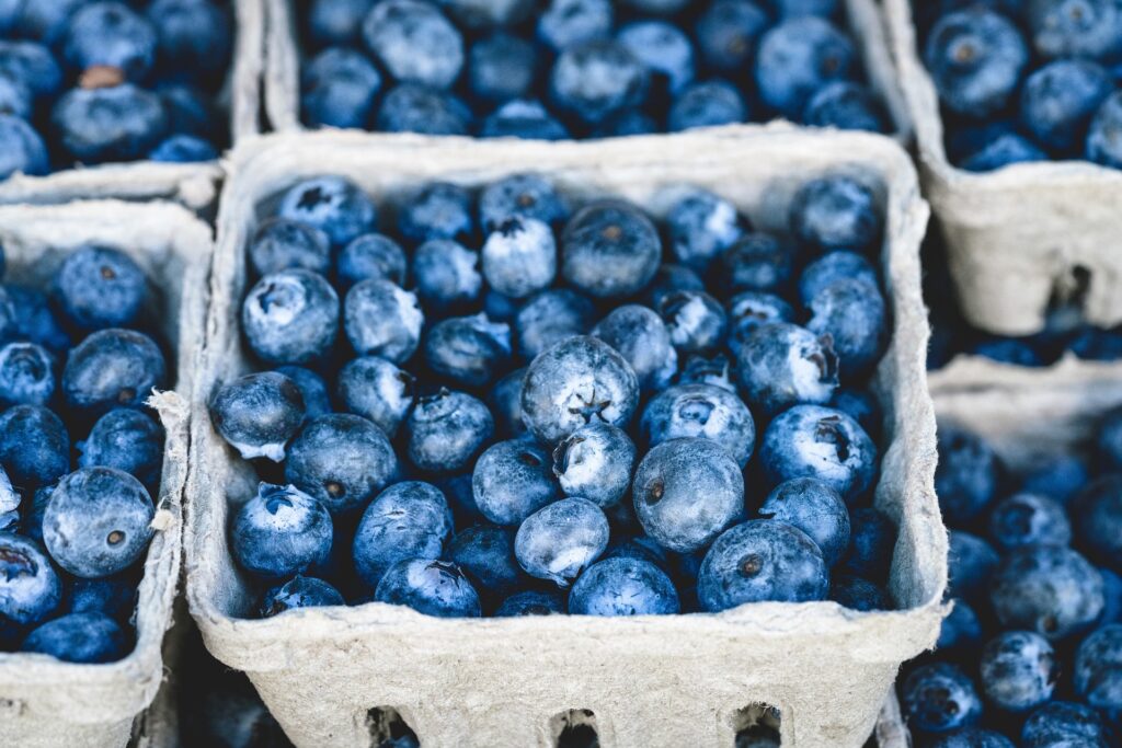 Proteolytic Enzymes for More than Digestion (Become a Member for Access)