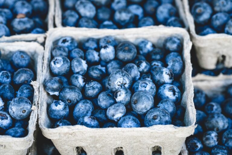 Proteolytic Enzymes for More than Digestion (Become a Member for Access)