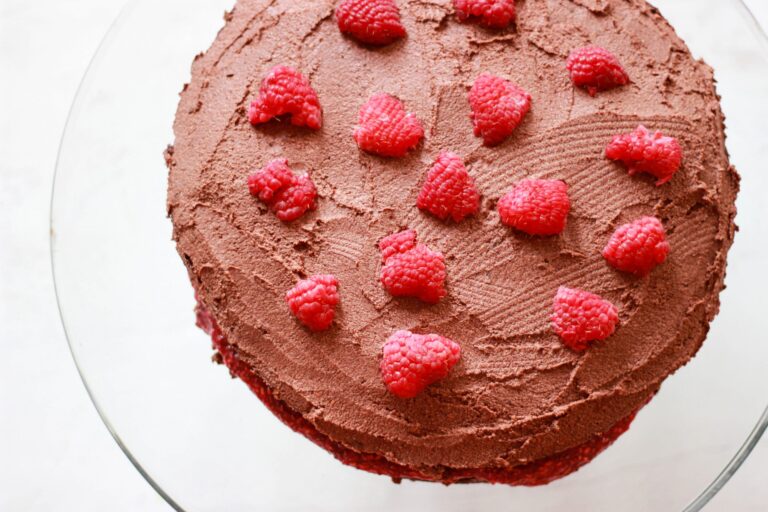 Paleo Chocolate Raspberry Naked Cake with Raspberry Filling