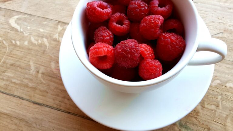 The Migrating Motor Complex – Is Snacking Ruining Your Digestion? (Become a Member for Access)