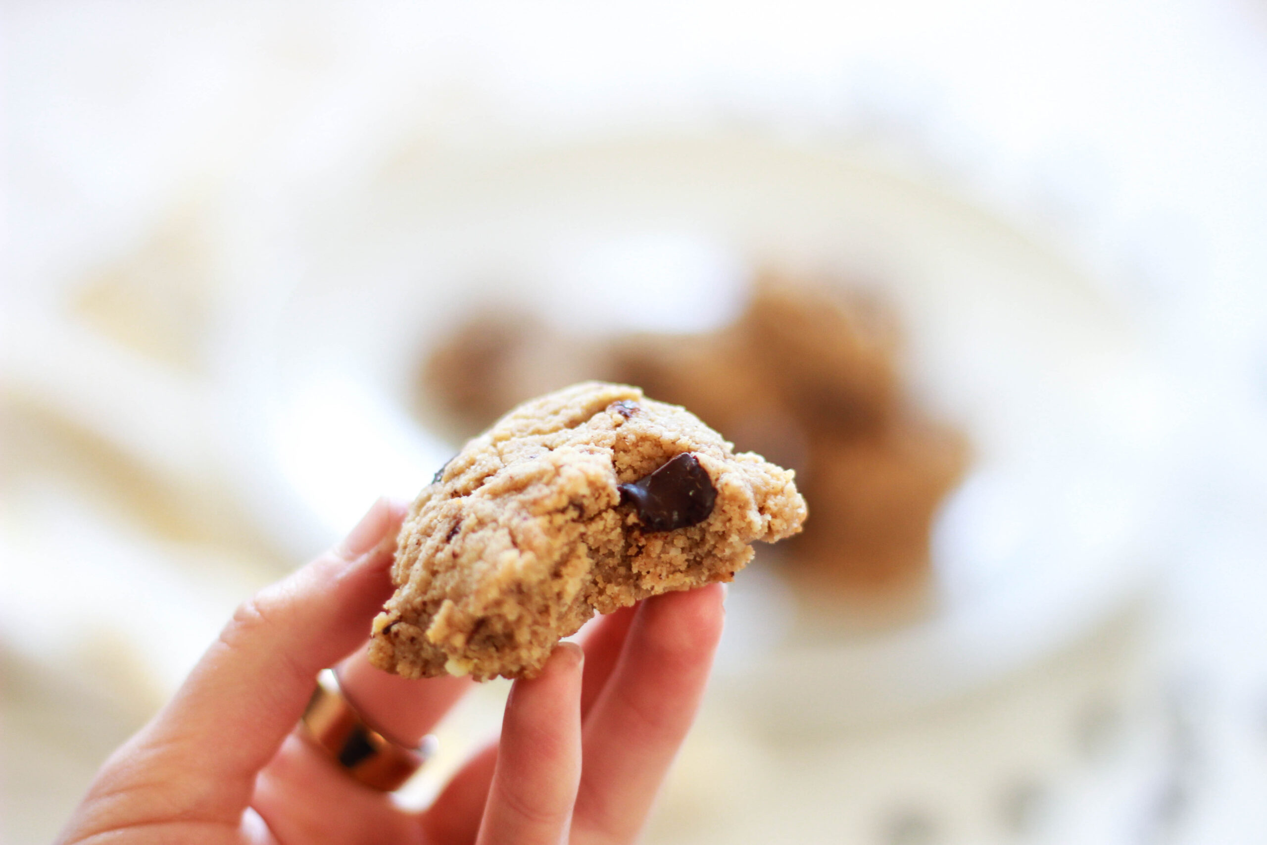 Sugar-Free / Paleo / Keto Chocolate Chip Cookies
